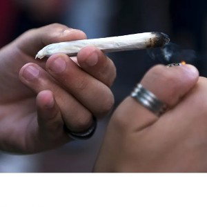 Klaus - canne🚭🚬