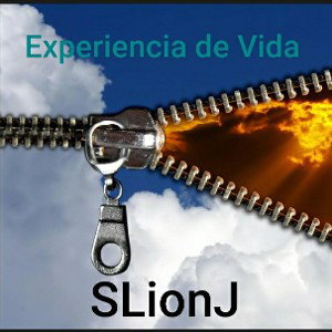 Experiencia en Vida