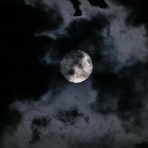 🌕Nächte Lang🌑