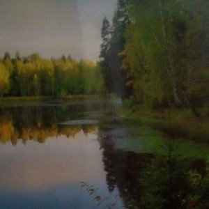 COLD_17-40