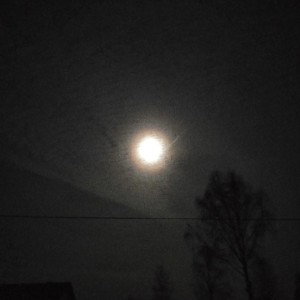 MaxPan (Первый трек) 