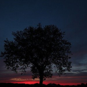 En la sombras 