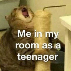 CAPITAL ME  
