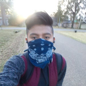 no sabemos lo que tenemos asta que lo perdemos 