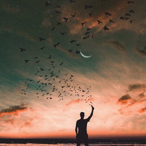 Непобежденной птицей