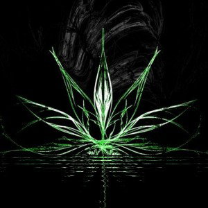 New-Suppressor 