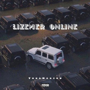 Lizemer online