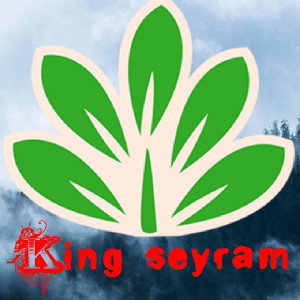 king seyram (Agama gbalè) +22893521394  +22898938196