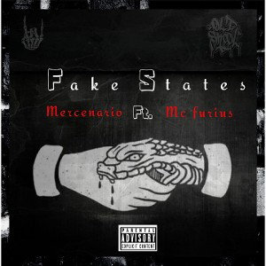 fake states