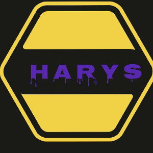 HRY- LO TENDRAS QUE INTENTAR..