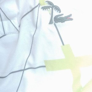 Vou de Lacoste 🐊