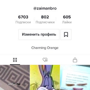 тик ток