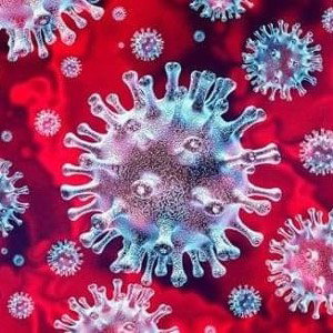 FUCK CORONAVIRUS