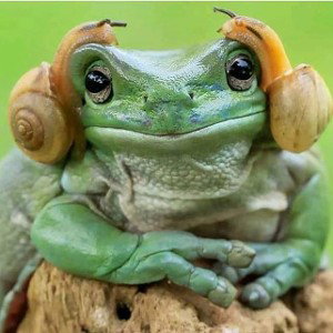 siente la musica...