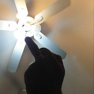 one fan 