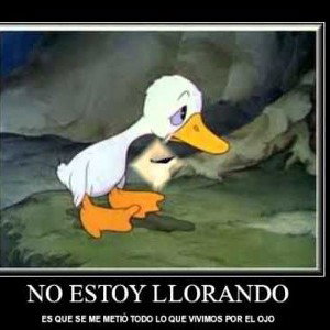 negropanda 🐼 prisionero