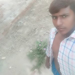 bky boy 