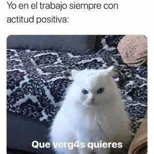 ase