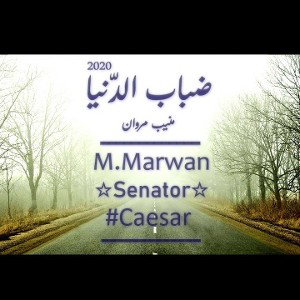 ضباب الدنيا