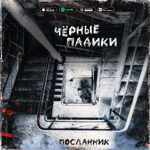 Чёрные падики