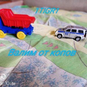 1TIGR1-Валим от копов 