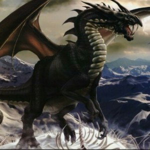 Black Dragón 