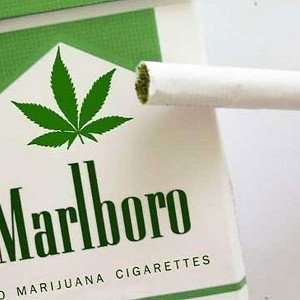 cigarritos verdes