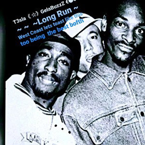 T3sla x GelaBuzZ - 《☆》Long Run《☆》 