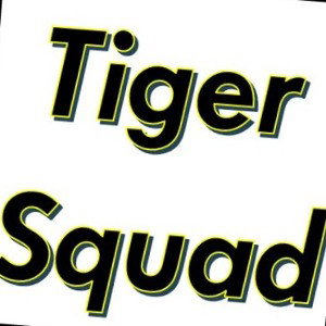 Tiger__Squad_-_Dont_give_a_Fuck 