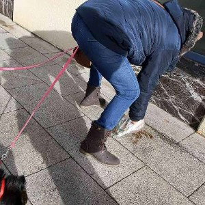 La multa por el popo del perro