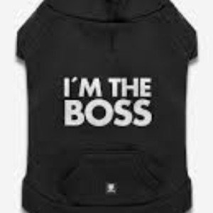 ADZOUNA  ===>  I'm boss remix 