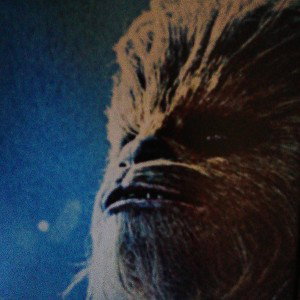 Wenn wookie dann wookie