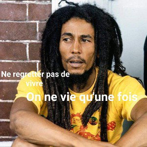 reggae new style 