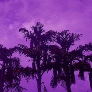 purple ceremony 