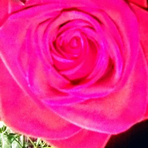 Evie's games with the mind by Elizabeth Evangelium