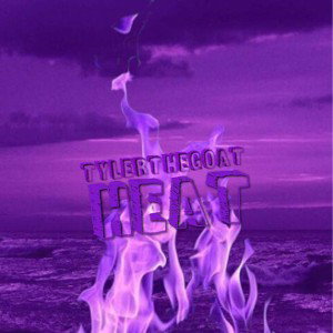 Heat-Tylerthegoat