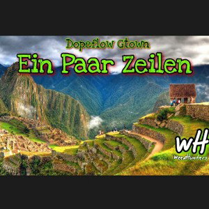Dopeflow Gtown - Ein Paar Zeilen