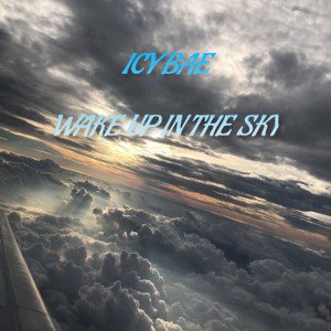 Wake up in the sky 