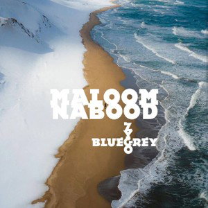 Maloom Nabood - Bluegrey x Zygo