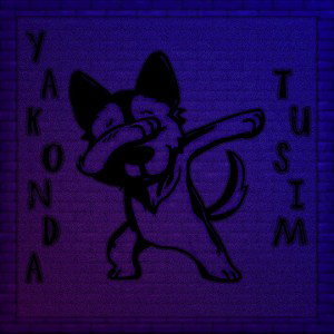 TUSIM