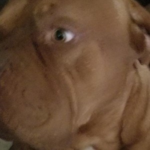 I want my stuff