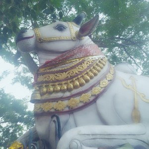sambhu naath