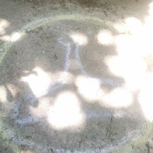 5th dimensional shift 