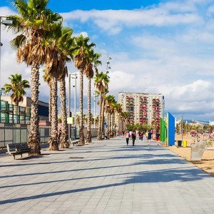 Playa Y Arena 