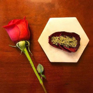 BLACK ROSE- By Tim Taylor