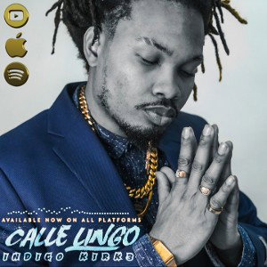 Calle Lingo by Indigo Kirk3