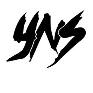 Yns-vilain