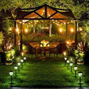 Backyard Sanctuary 