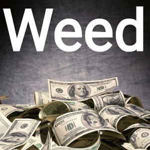 🤑Weed🤑