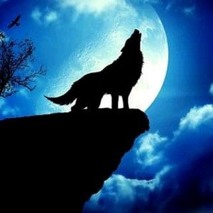El $olo Lobo (original)